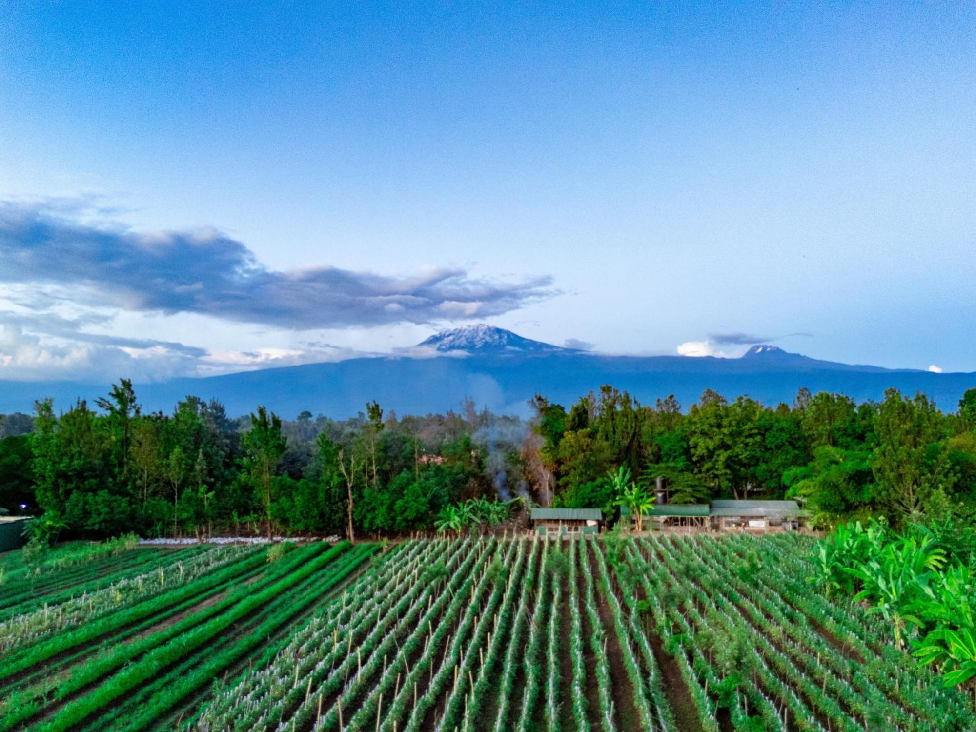 Shose Farmhouse Chalets & Campsite モシ エクステリア 写真